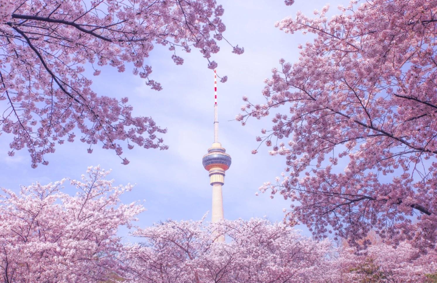 Yuyuantan Park